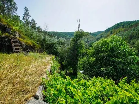 img_9