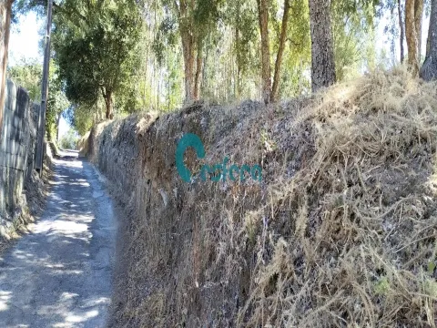 Terreno para construção, Sanguedo, Santa Maria da Feira - 70.000,00€