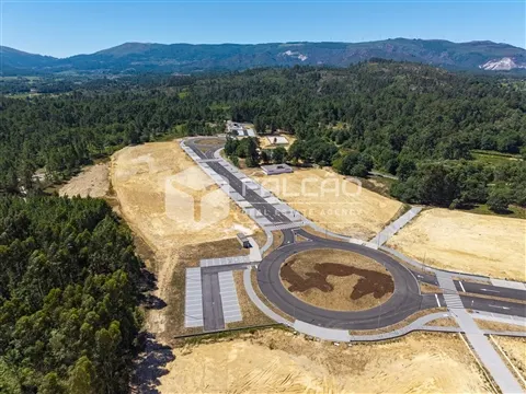 img_4