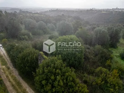 Terreno Misto T3