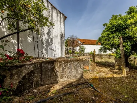 img_38