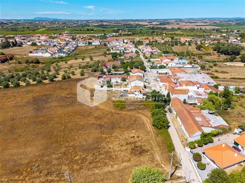 img_9
