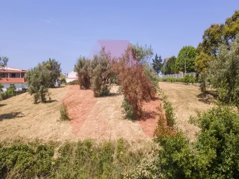 Terreno Para Construção