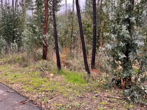 Terreno Para Construção