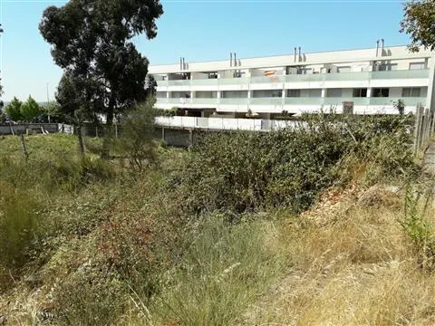 Lote de Terreno