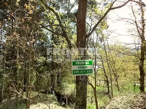 Rural land