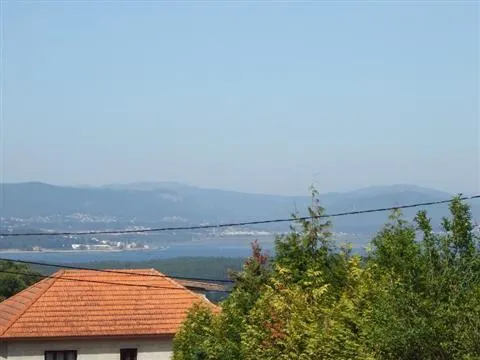 img_8
