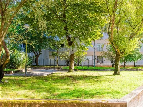 img_5