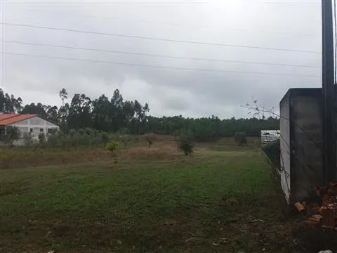 Piece of Real Estate