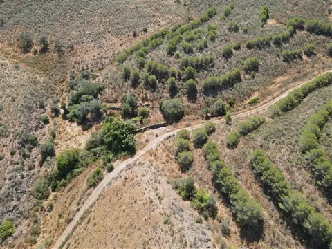 Terrain rural