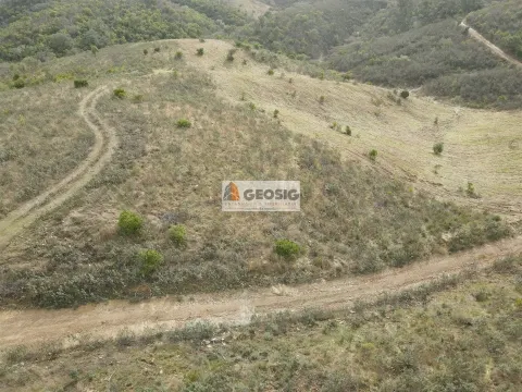 Terreno Rústico