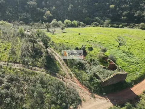Terreno Rústico