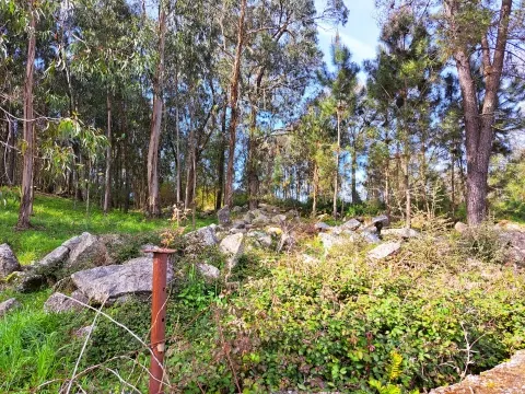 Terreno Para Construcción