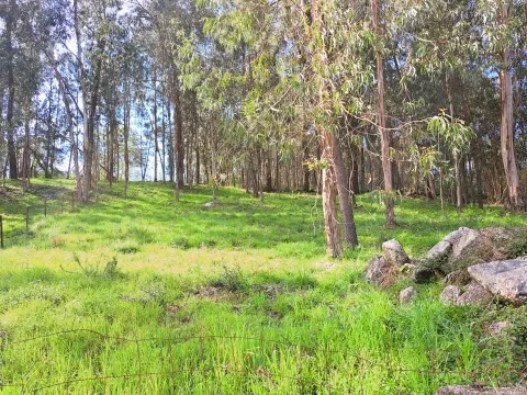 Terreno Para Construcción