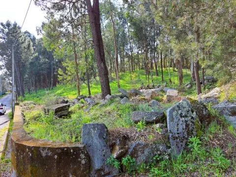 Terreno Para Construcción