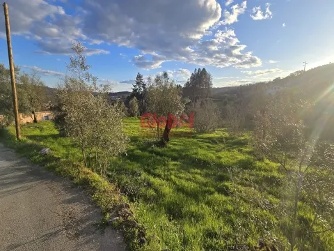 img_2