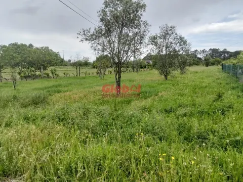 Terrain