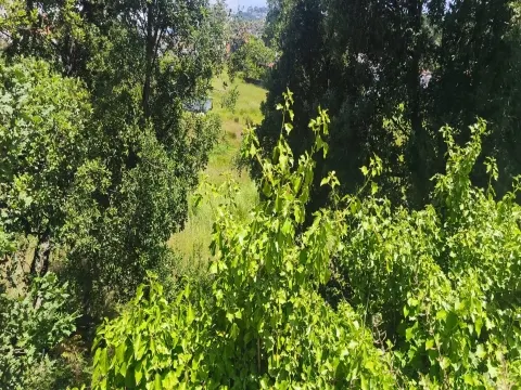 Terreno para Construção em Zona Estratégica de Gaia