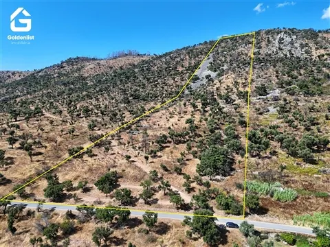 Terreno