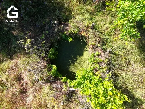Quinta