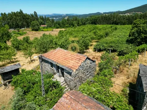 Landbesitz 4 Schlafzimmer