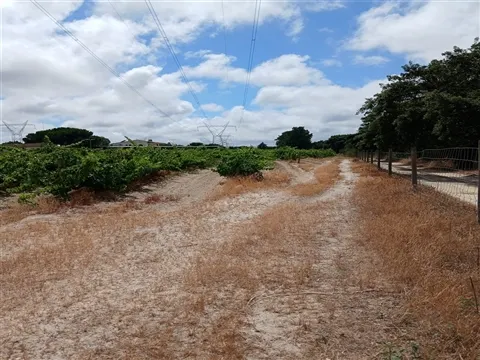 Terreno