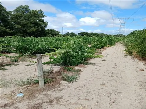 Terreno