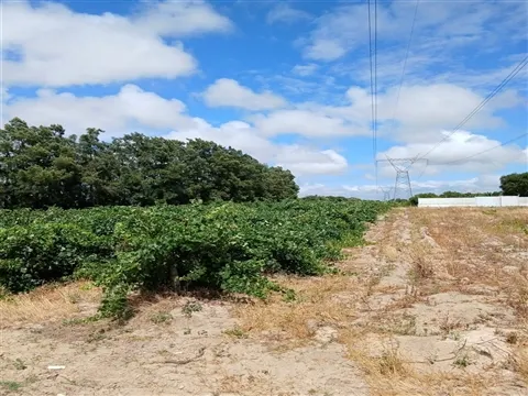 Terreno
