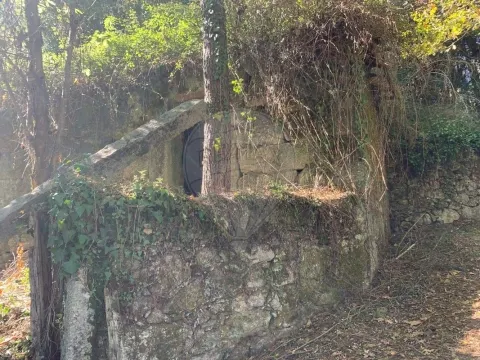 Vivienda 1 habitación