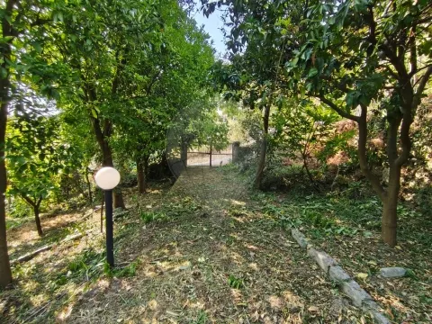 Moradia T3 para venda