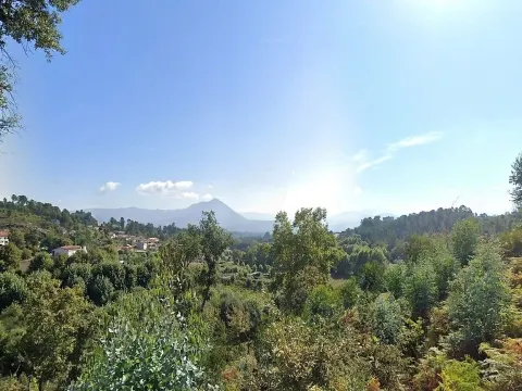 Moradia T0 para venda