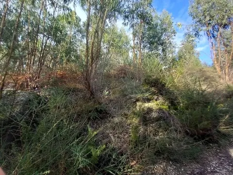 Terreno  para venda