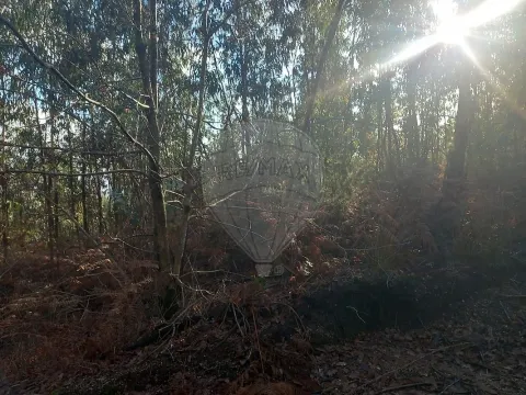 Terreno  para venda