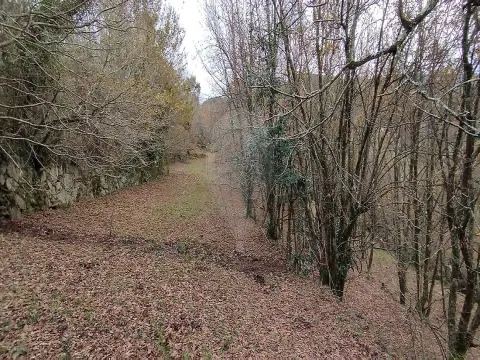 Terreno  para venda