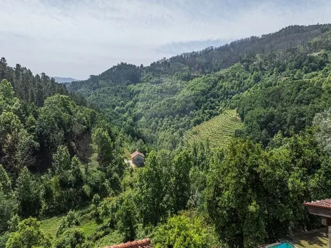 img_35