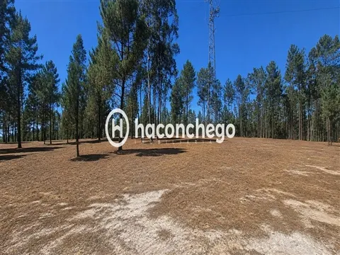 Real estate land
