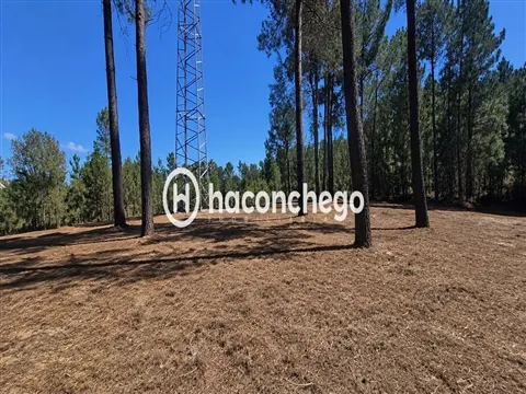 Real estate land