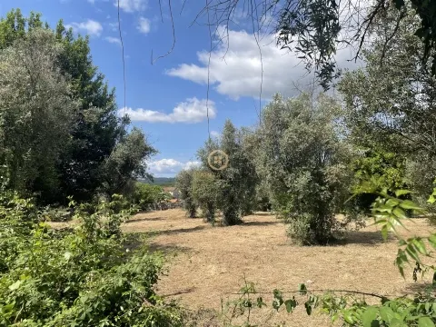 Terreno Para Construção