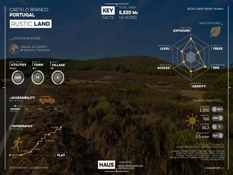 Terreno Plano de 6.520m² ao Pé da Serra | Castelo Branco