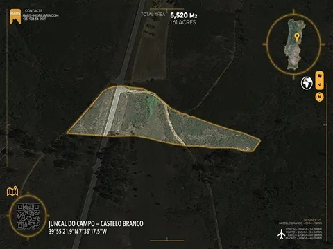 Terreno Plano de 6.520m² ao Pé da Serra | Castelo Branco