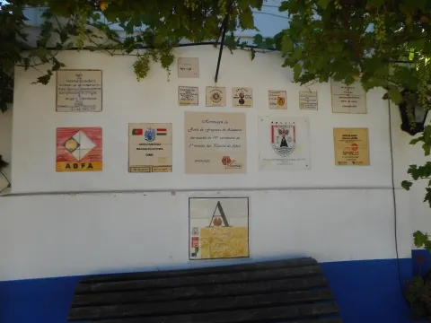 Hôtel >=10 Chambre(s)