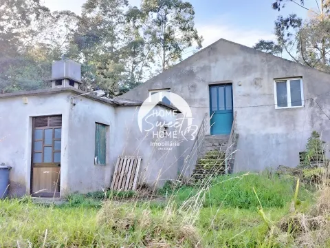 Quinta