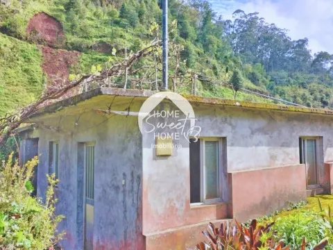 Moradia + 2 Palheiros com uma área total de 3070m2