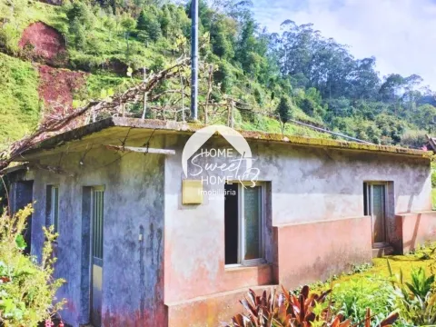 Moradia + 2 Palheiros com uma área total de 3070m2