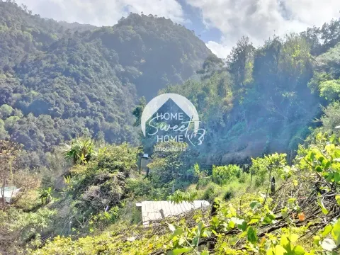 Terreno Rústico para construir, junto à Laurisilva