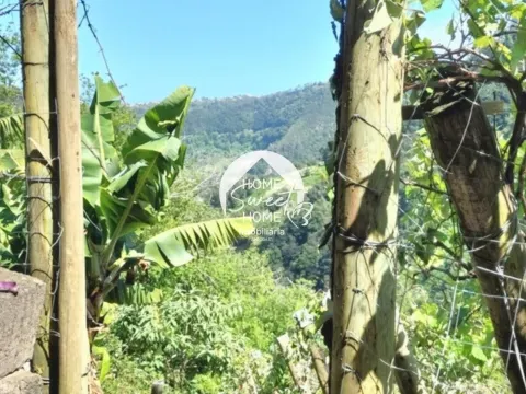 Terreno Rústico para construir, junto à Laurisilva