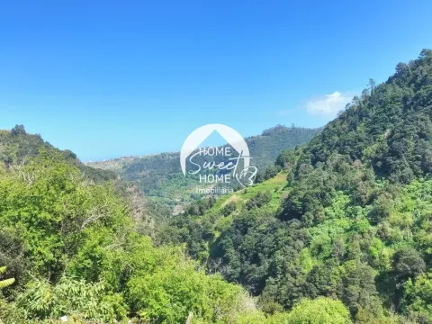 Terreno Rústico para construir, junto à Laurisilva