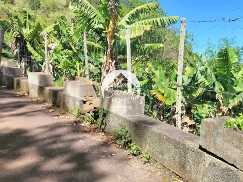 Terreno Rústico para construir, junto à Laurisilva