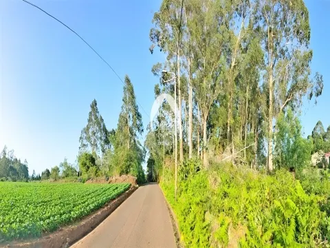 Propriedade com 2880m2 para investimento