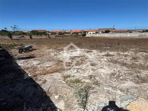 Terrain